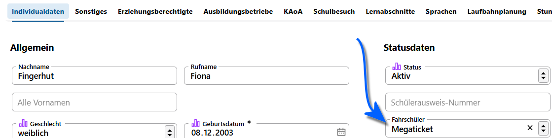 Tragen Sie die Fahrschüler-Art in den Individualdaten ein